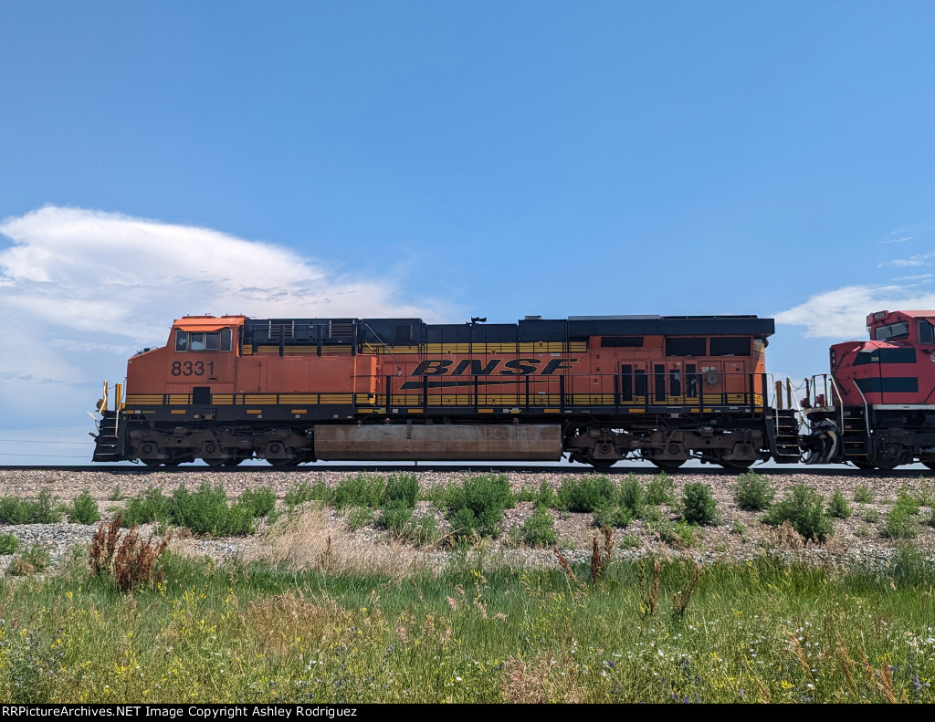 BNSF 8331